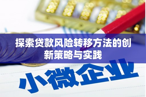 洛扎探索贷款风险转移方法的创新策略与实践